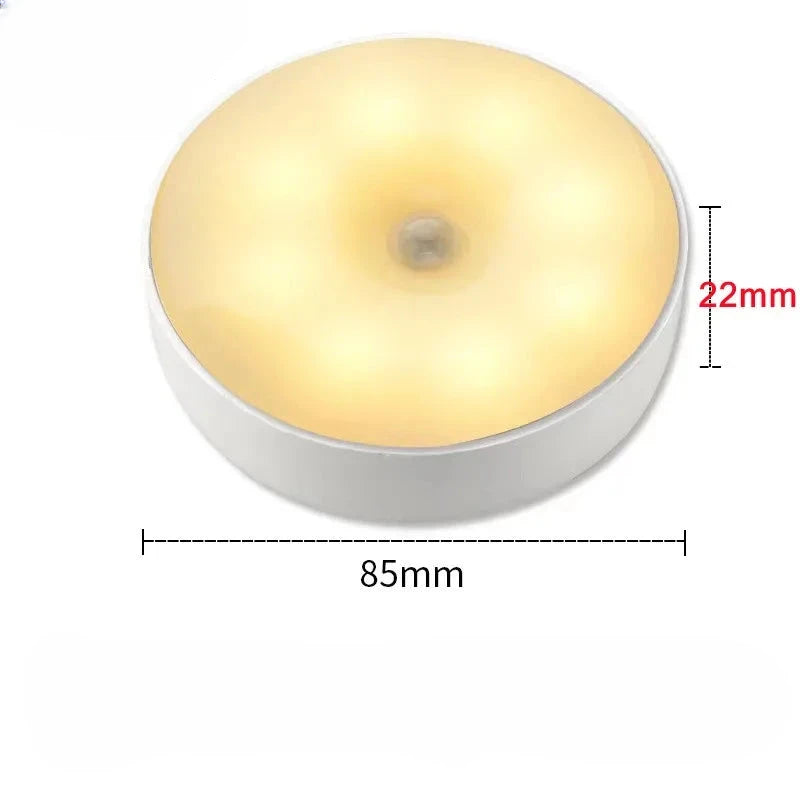 USB Rechargeable Motion Sensor Light